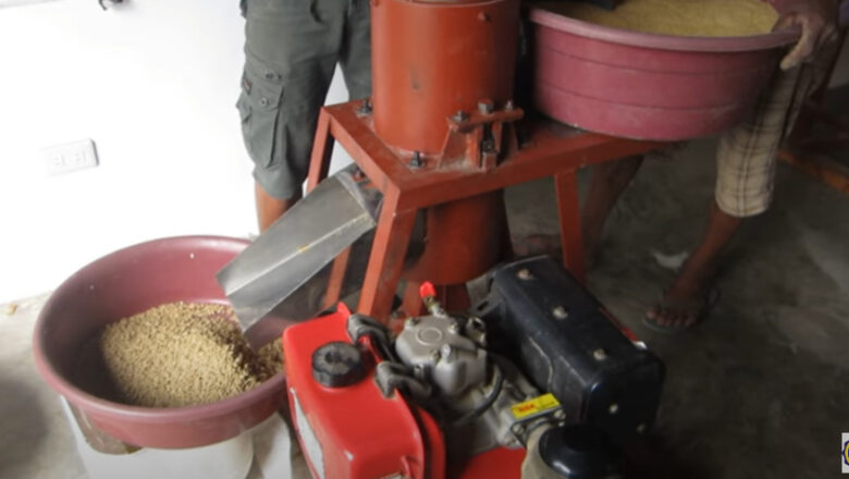 Feed Milling Business: From Sugar Slavery to Success