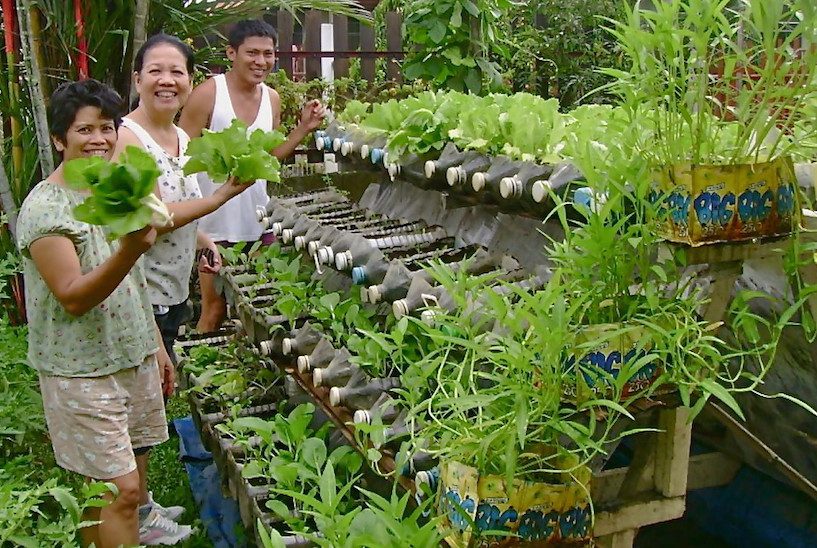 Container garden in Negros Occidental (image credit Department of Agriculture)