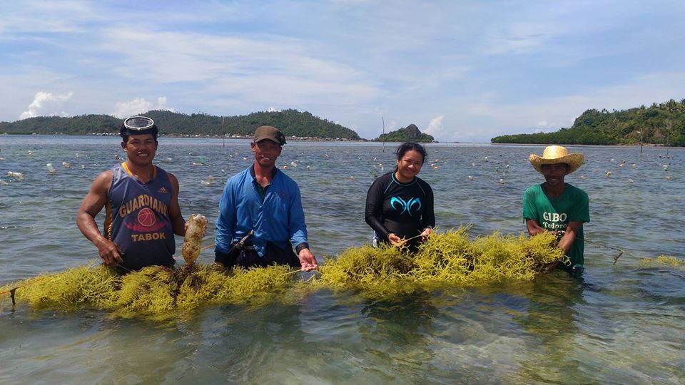 seaweed-farming-in-the-philippines