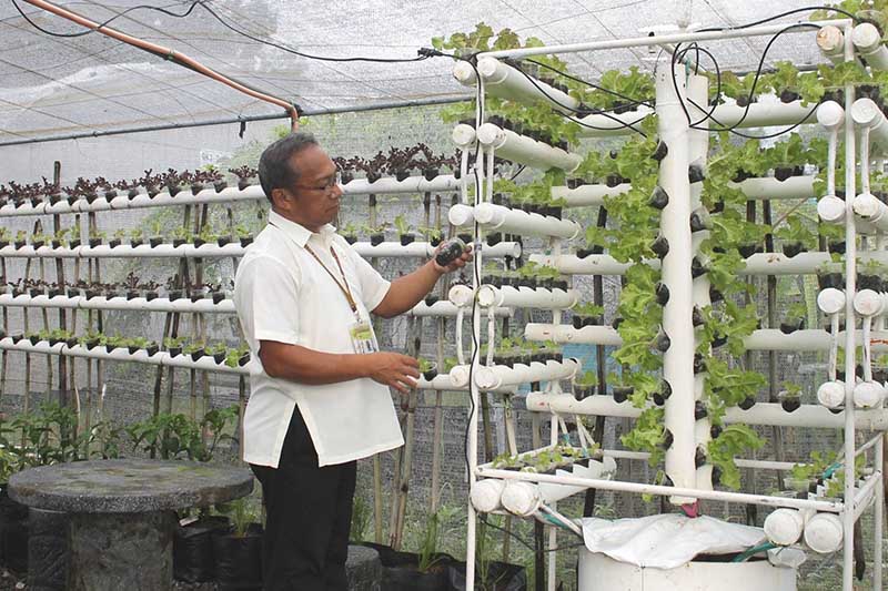 vertical-farming