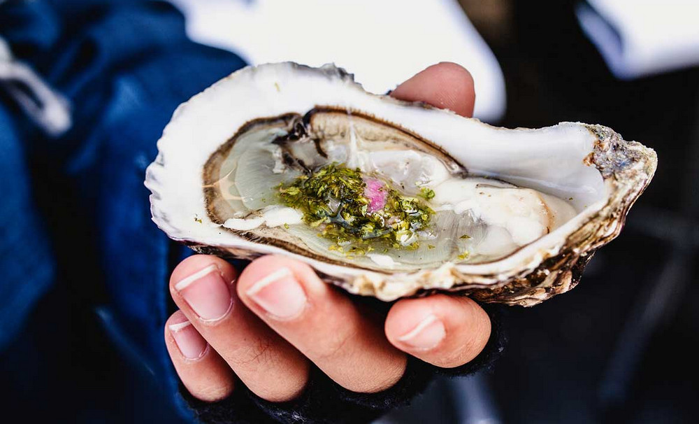 benefits-of-oysters