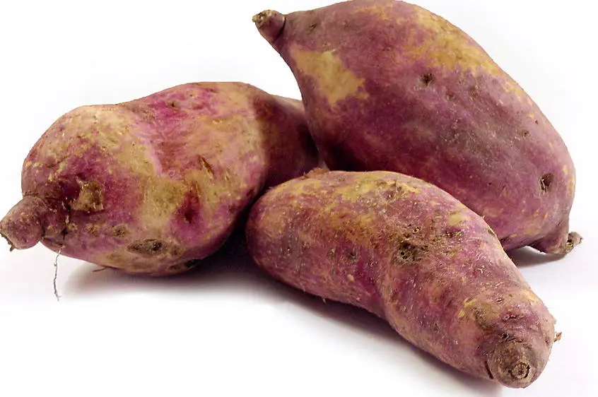 10 Health Benefits of Eating Sweet Potato