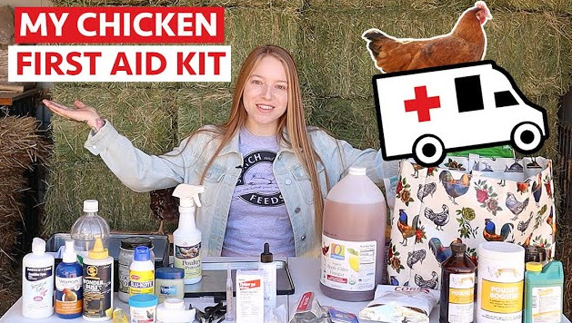 chicken first aid kit