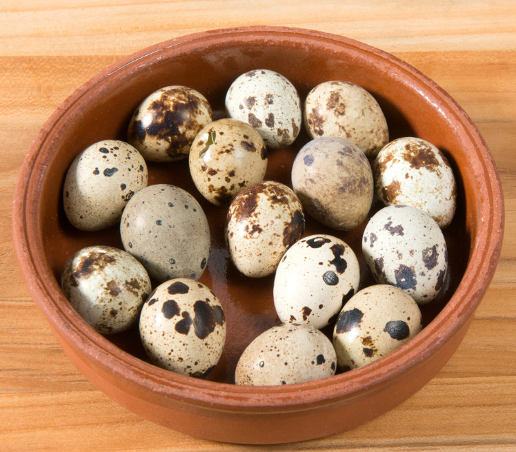 health-benefits-of-quial-eggs