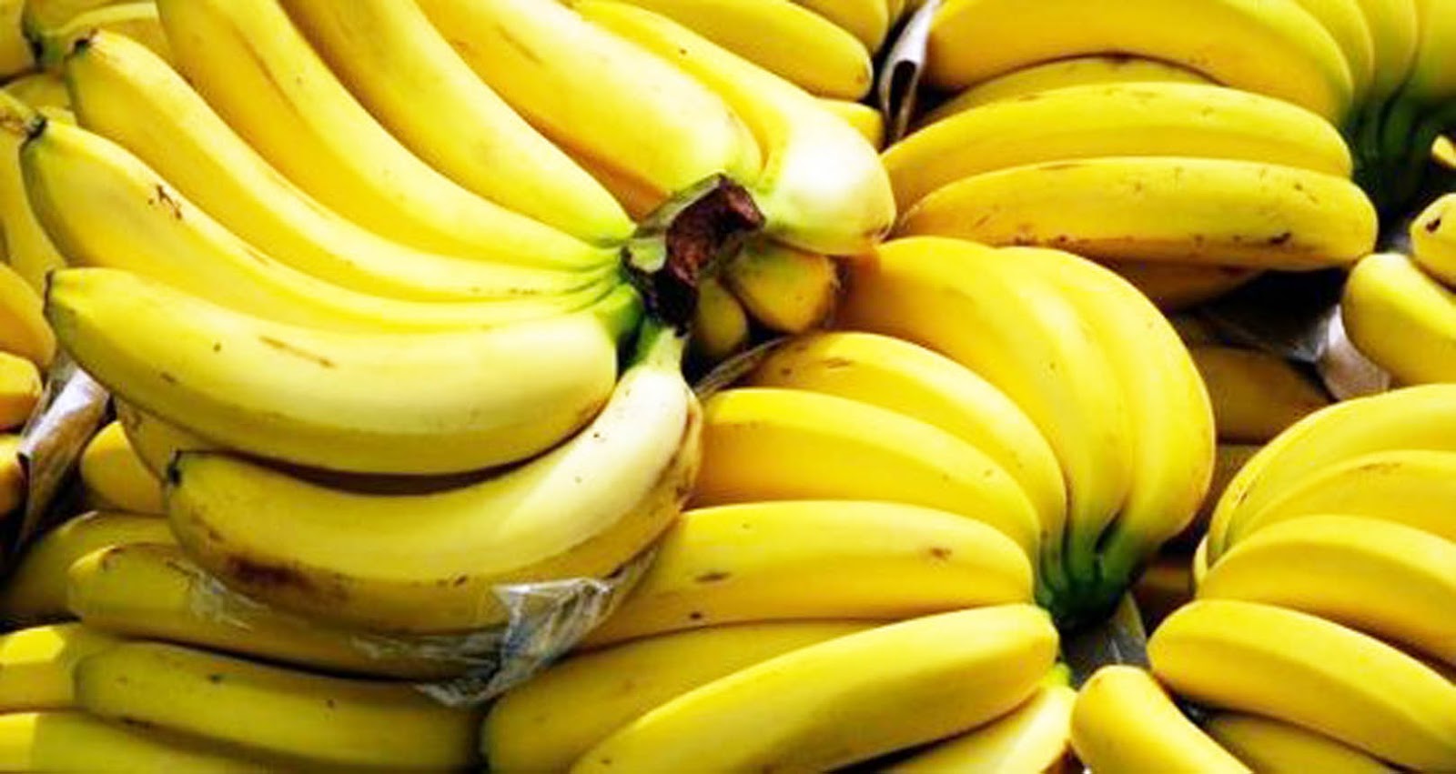ripe-lakatan-banana