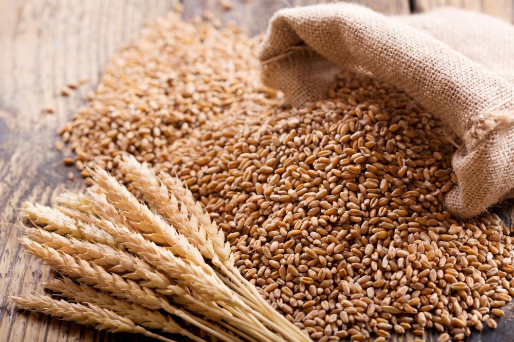 Health Benefits of Wheat