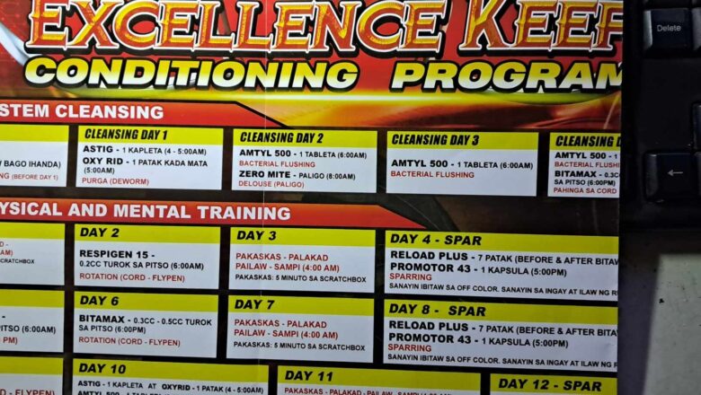 26-Day Complete Gamefowl Conditioning Guide from Tatak Excellence