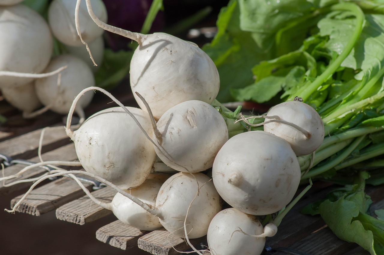 Turnips-in-pot