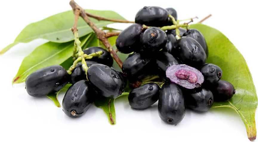 benefits-of-java-plum