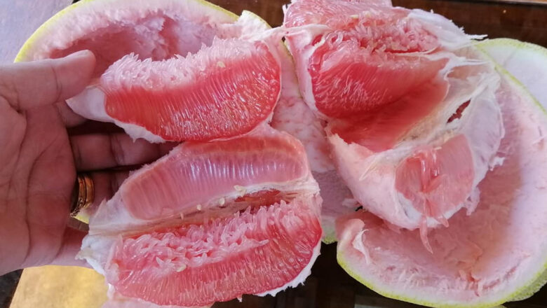 Suha: 10 Health Benefits of Pomelo, and Side Effects