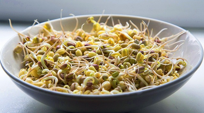 benefits-of-Mung-Bean-Sprout