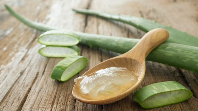8 Benefits of Aloe Vera, Medicinal Uses, and Side Effects