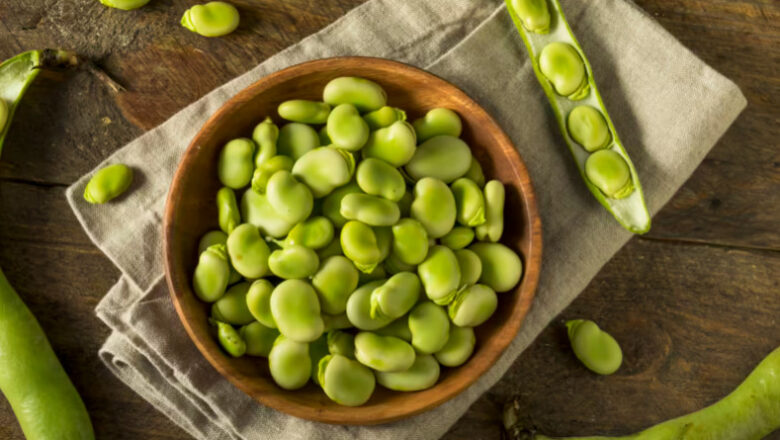 13 Health Benefits of Broad Beans, Description, and Side Effects