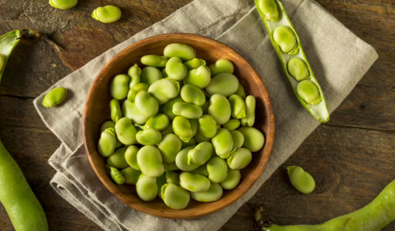 benefits-of-broad-beans