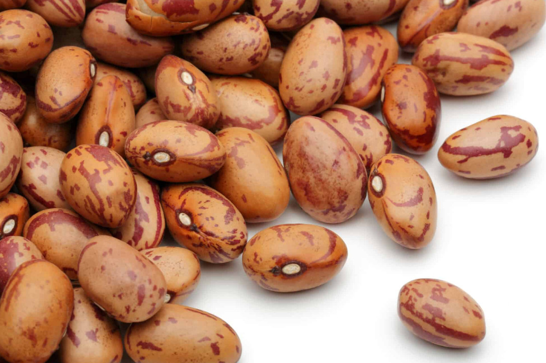 benefits of pinto beans
