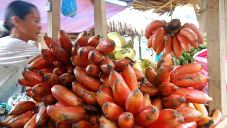 Top 10 Banana Varieties and Cultivars in the Philippines