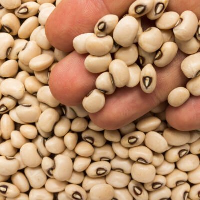 Black Eyed Peas: 12 Health Benefits of Cowpeas, Description, and Side Effects