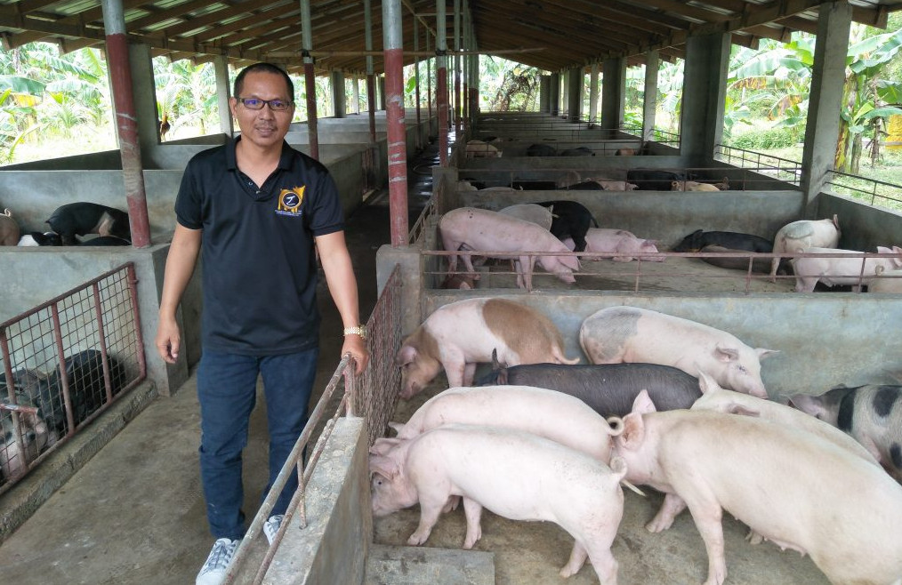 Pig farm in the Philippines